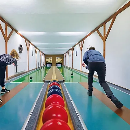 Zum Walfisch 2* Klingenthal