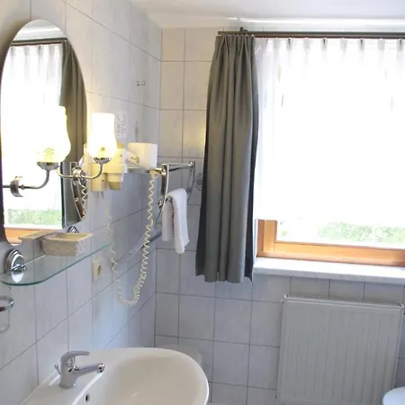 Zum Walfisch 2* Klingenthal