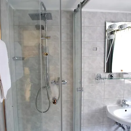 Hotel Zum Walfisch Klingenthal