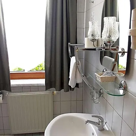 Zum Walfisch Hotel Klingenthal