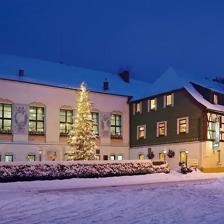 Hotel Zum Walfisch Klingenthal