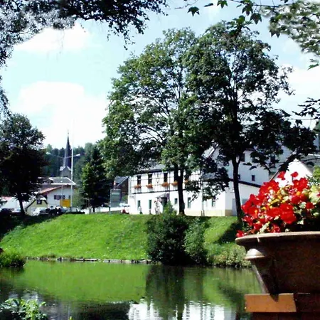 Zum Walfisch Klingenthal
