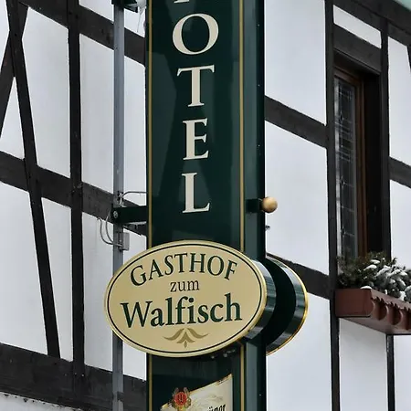 Zum Walfisch מלון