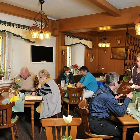 Hotel Zum Walfisch Klingenthal
