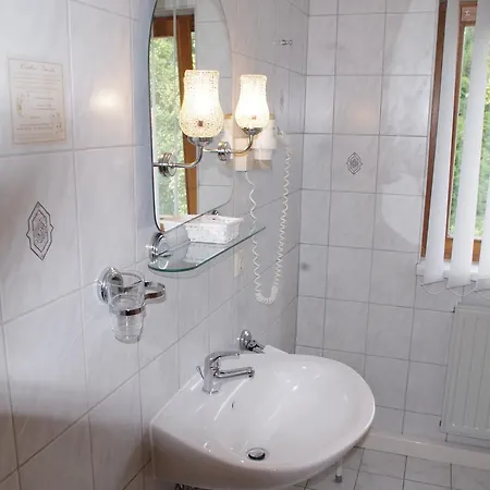 Zum Walfisch Hotel Klingenthal