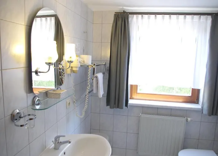 Zum Walfisch 2* Klingenthal