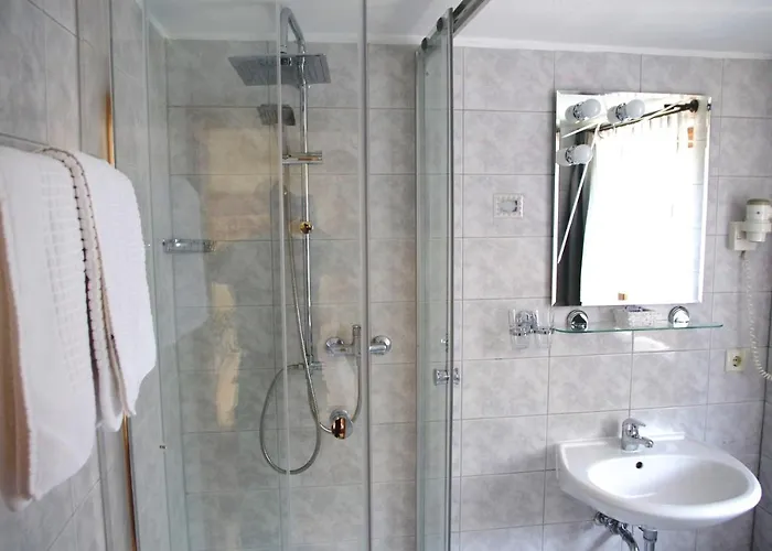 Hotel Zum Walfisch Klingenthal