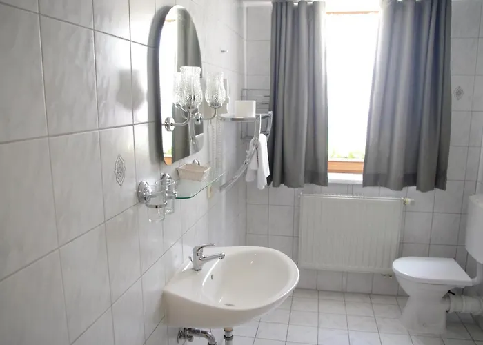 Zum Walfisch Klingenthal