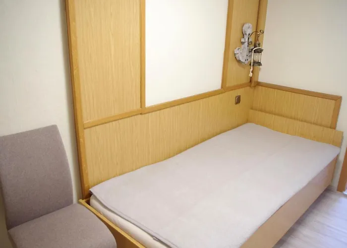 Zum Walfisch 2* Klingenthal