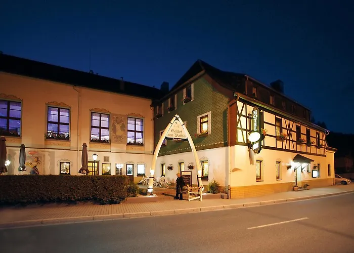 Zum Walfisch Hotel Klingenthal