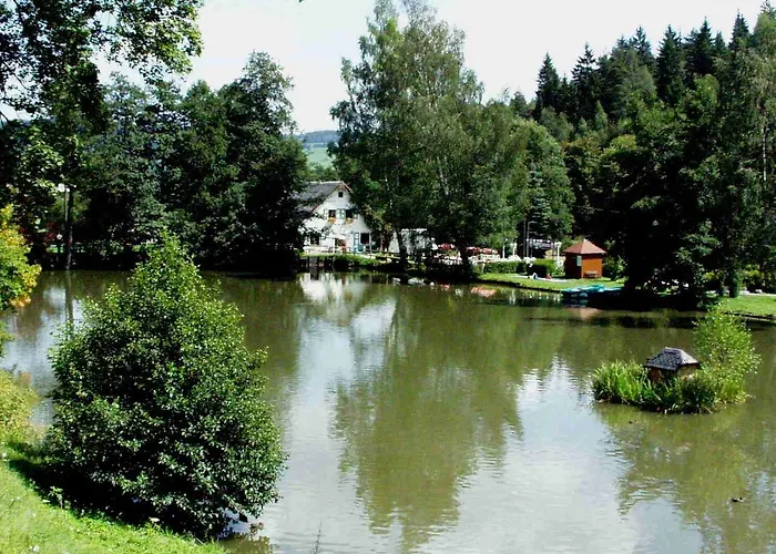 Zum Walfisch 2* Klingenthal