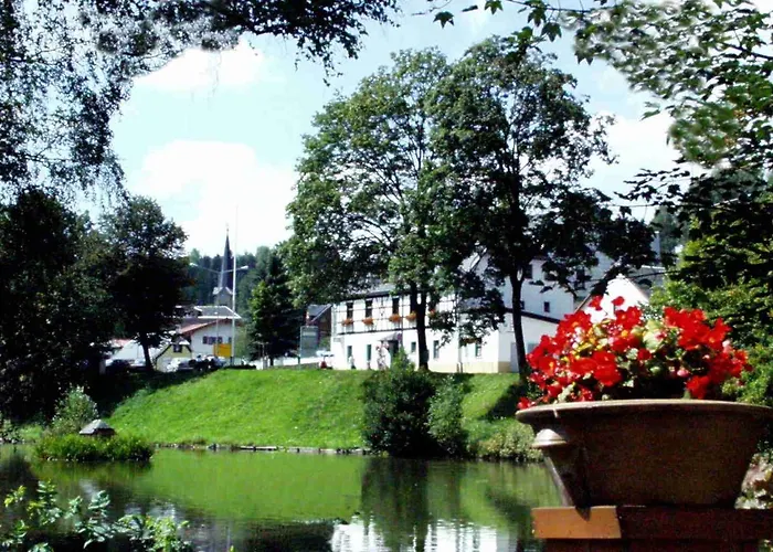 Zum Walfisch Klingenthal