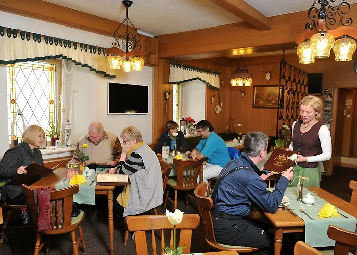 Hotel Zum Walfisch Klingenthal