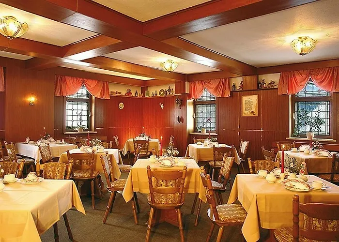 Zum Walfisch Klingenthal