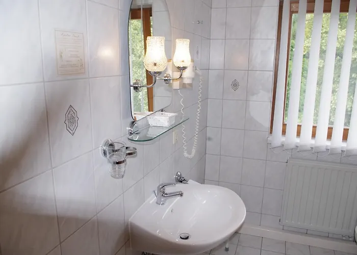 Zum Walfisch Hotel Klingenthal