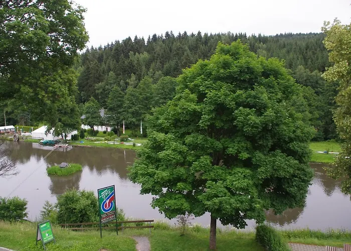 Hotel Zum Walfisch Klingenthal