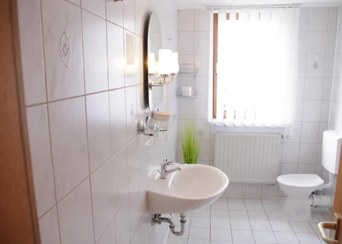 Zum Walfisch Klingenthal